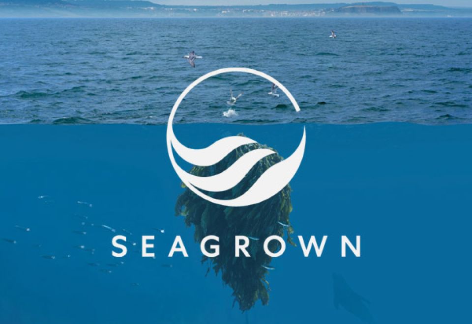 seagrown